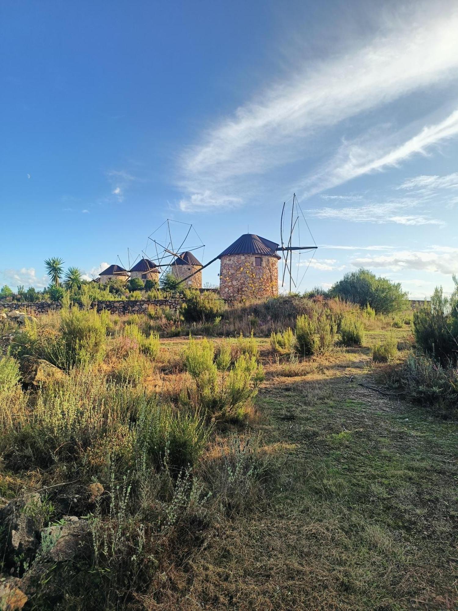 Moinho Da Alfazema Villa Penacova Luaran gambar